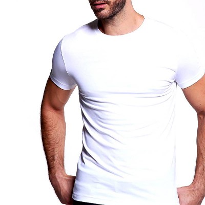 Custom High Quality Men Muscle Slim Fit T Shirt Organic Cotton Blank Gym T Shirt